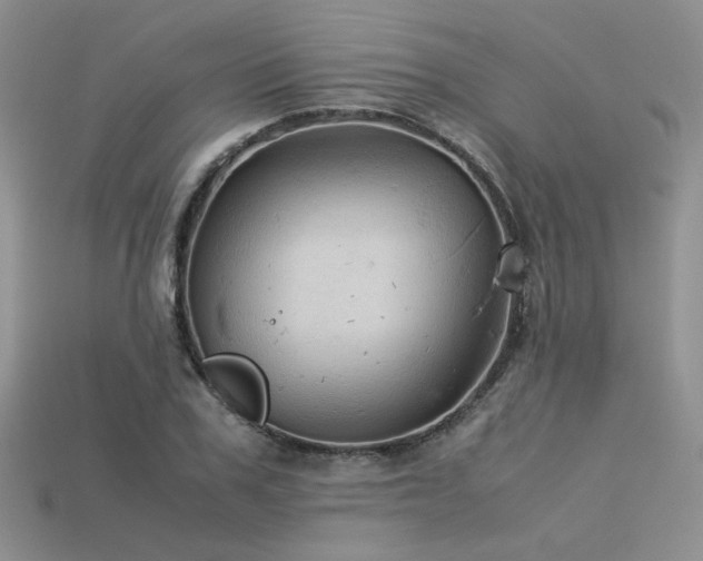 X0000113600979200909181348