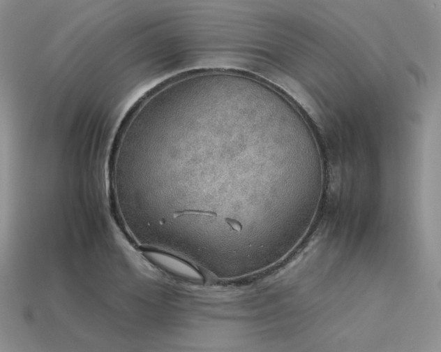 X0000113600980200909181348