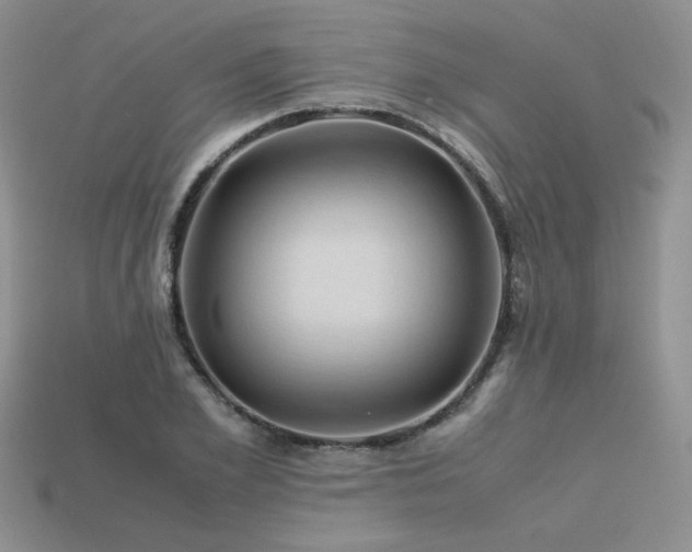 X0000113600981200909181348