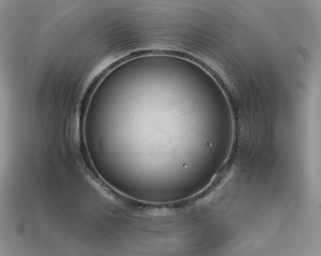 X0000113600982200909181348