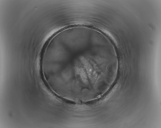 X0000113600983200909181348