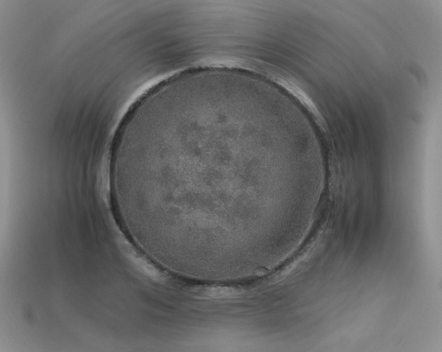 X0000113600984200909181348