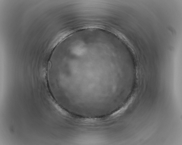 X0000113600985200909181348