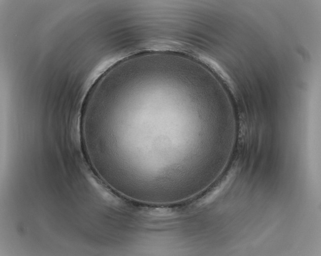 X0000113600986200909181348