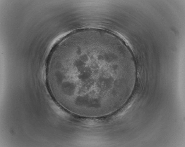 X0000113600987200909181348