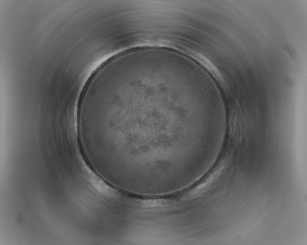 X0000113600988200909181348