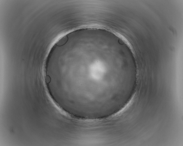 X0000113600989200909181348