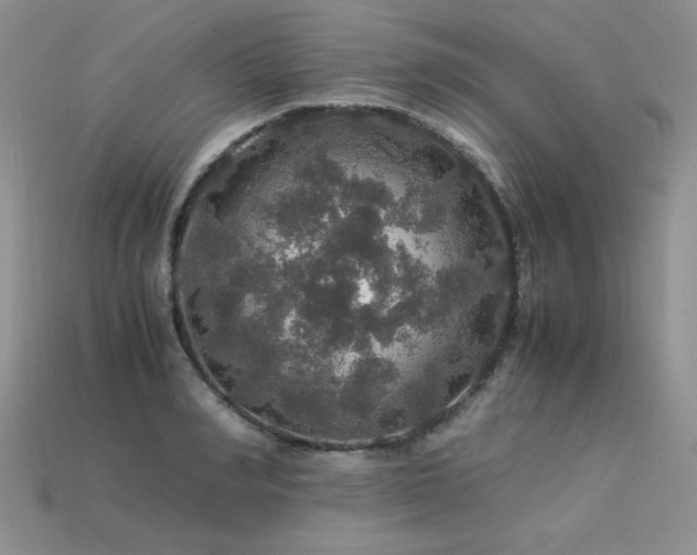 X0000113600990200909181348