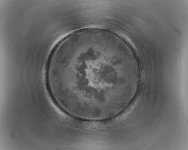 X0000113600991200909181348