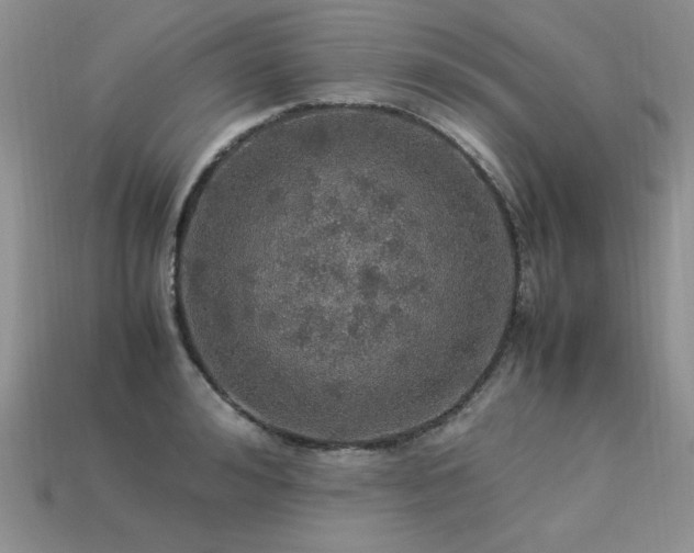 X0000113600992200909181348