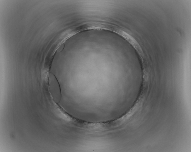 X0000113600993200909181348