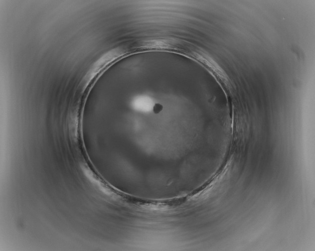 X0000113600994200909181348