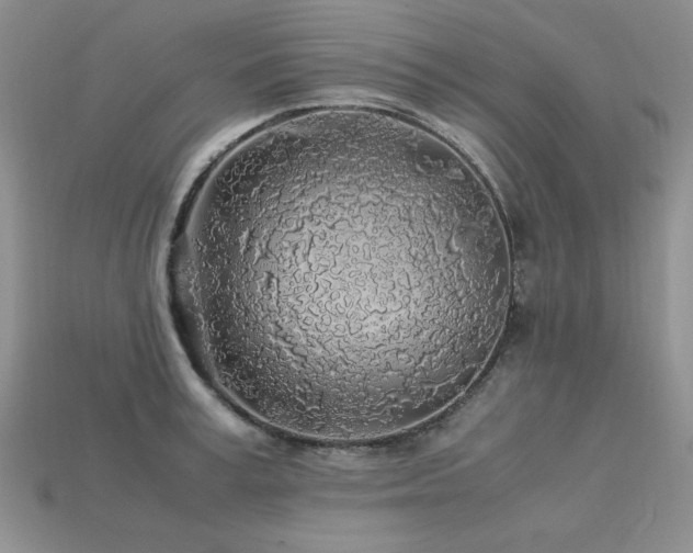 X0000113600995200909181348