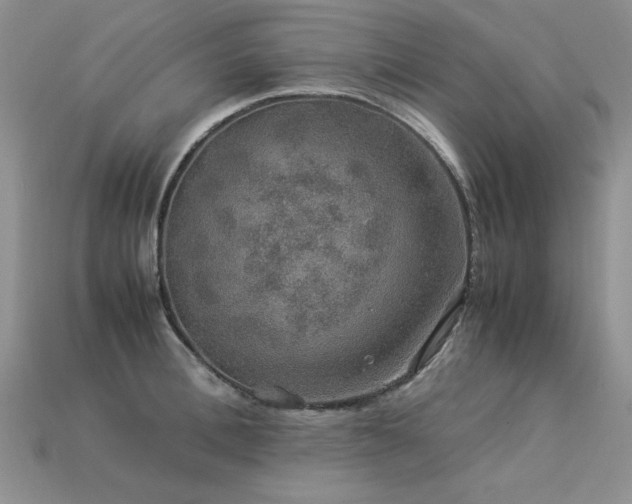 X0000113600996200909181348