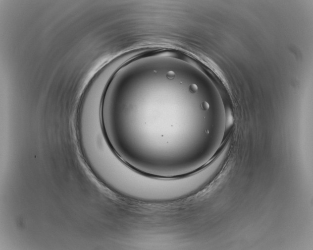 X0000113600997200909181348