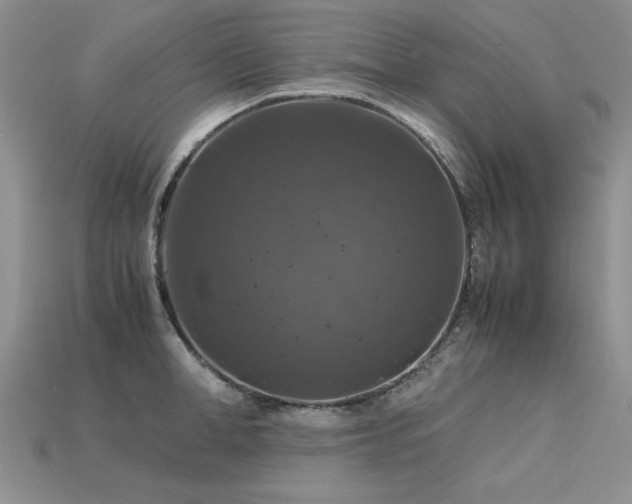 X0000113600998200909181348