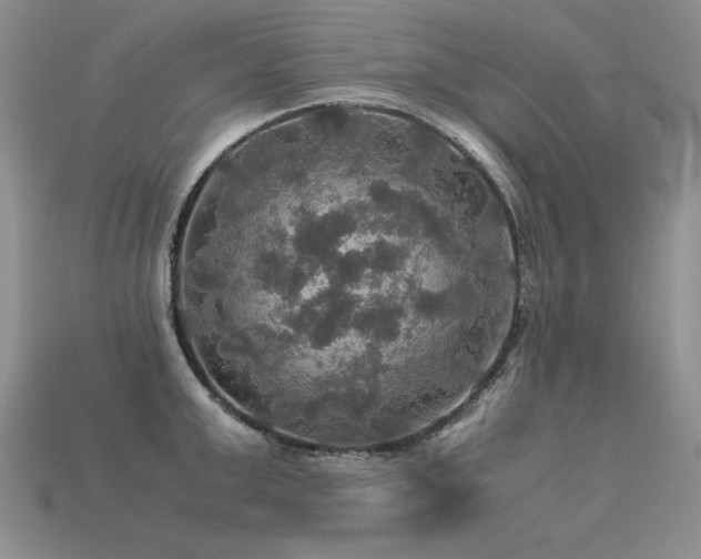 X0000113600999200909181348