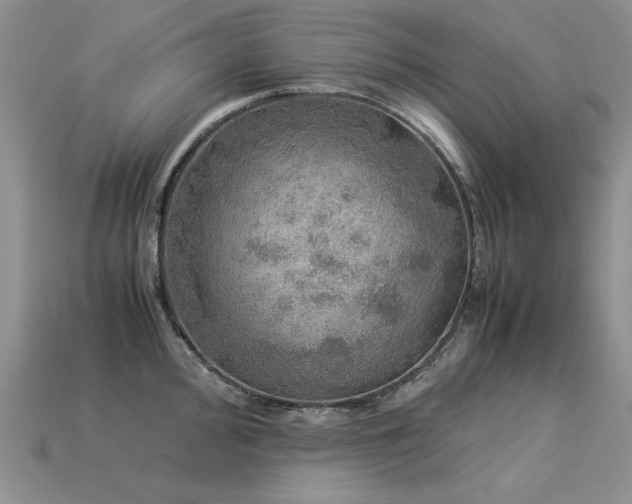 X0000113601000200909181348