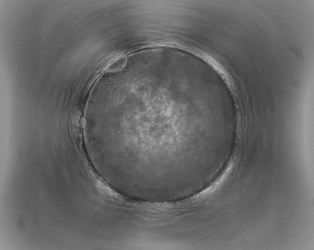 X0000113601001200909181348