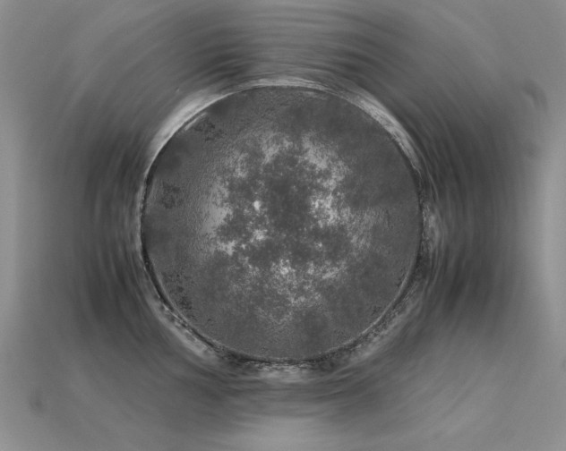 X0000113601002200909181348