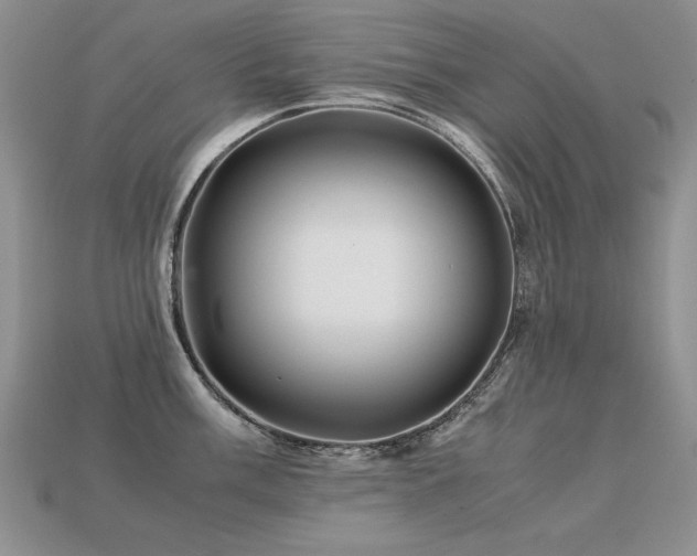 X0000113601003200909181348