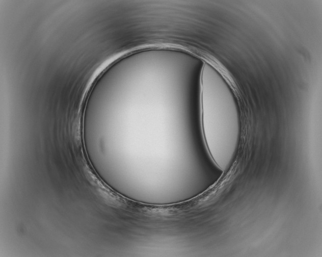 X0000113601004200909181348