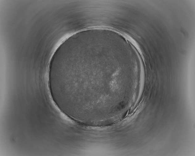 X0000113601005200909181348