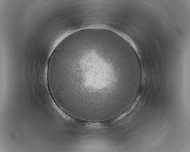 X0000113601006200909181348