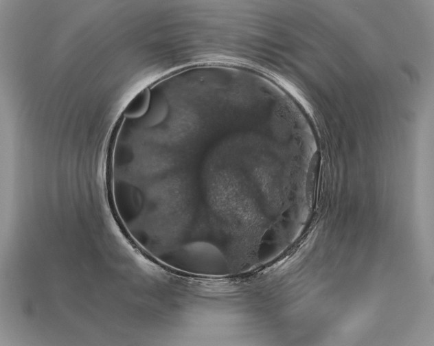 X0000113601007200909181348