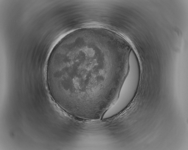 X0000113601008200909181348