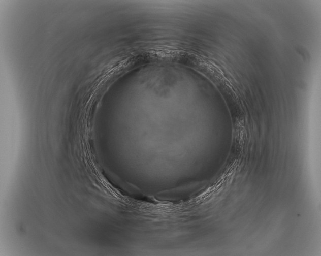 X0000113601009200909181347