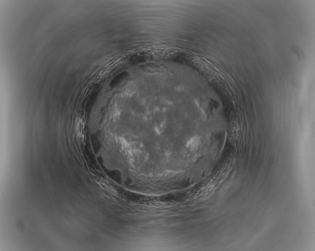 X0000113601010200909181347