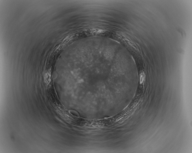 X0000113601011200909181347