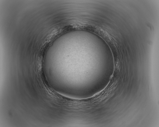 X0000113601012200909181347