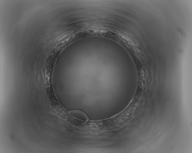 X0000113601013200909181347