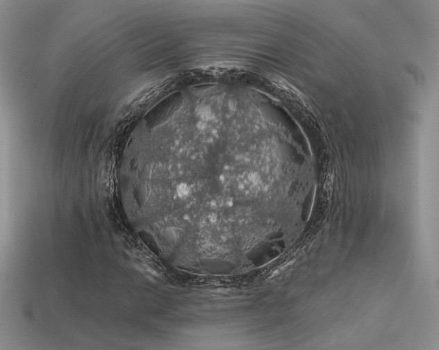 X0000113601014200909181347