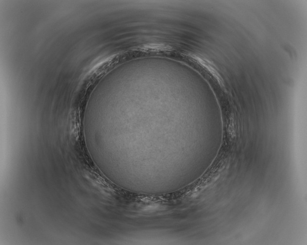 X0000113601015200909181347