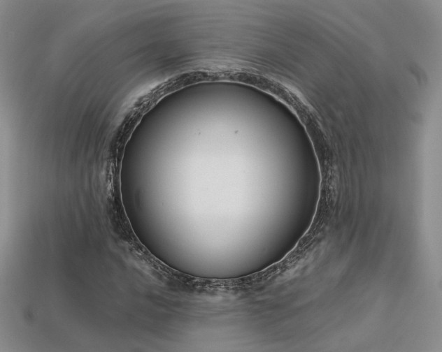 X0000113601016200909181347