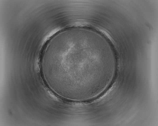 X0000113601018200909181347