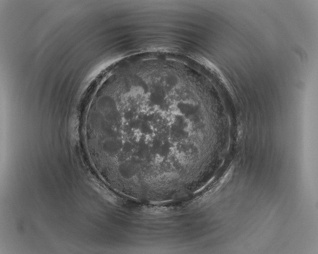 X0000113601019200909181347