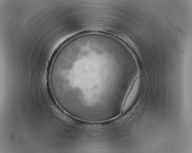 X0000113601020200909181347