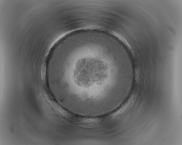 X0000113601021200909181347