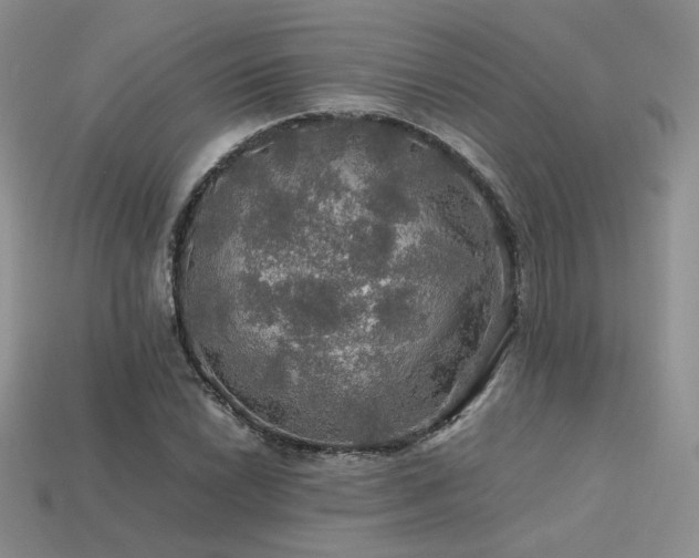 X0000113601022200909181347