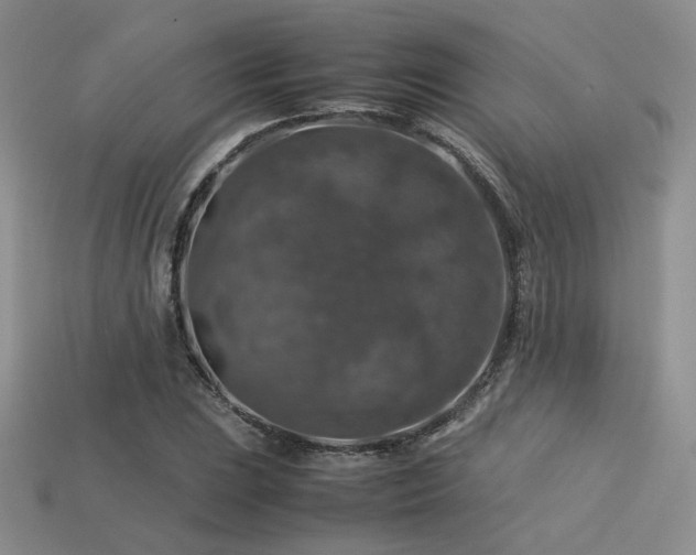 X0000113601023200909181347