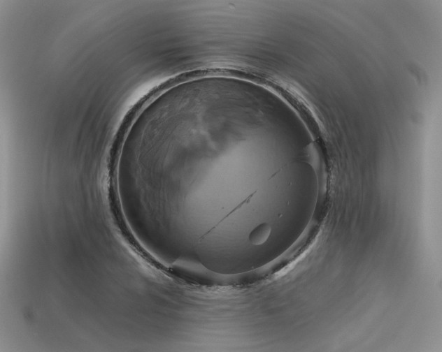 X0000113601024200909181347