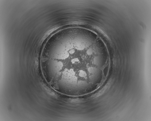 X0000113601025200909181347