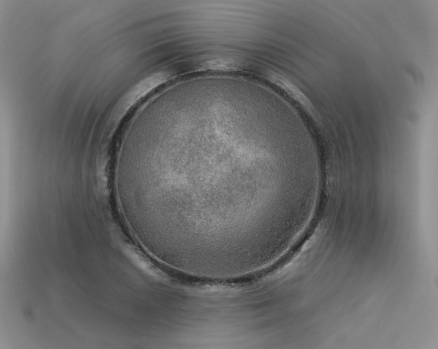 X0000113601026200909181347