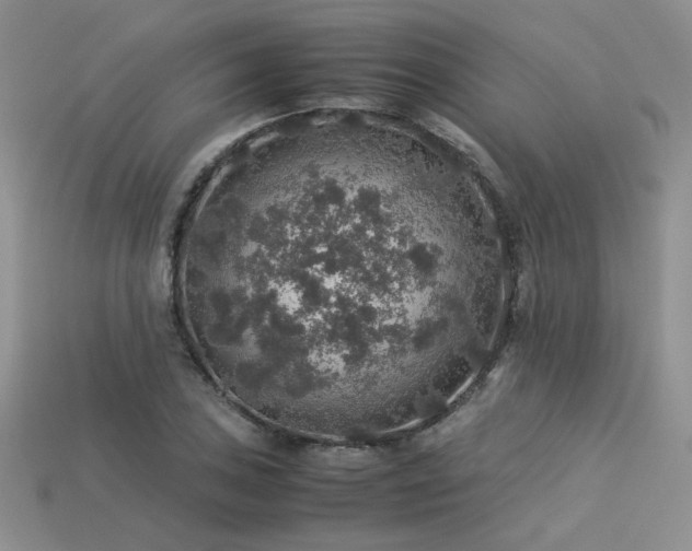 X0000113601027200909181347