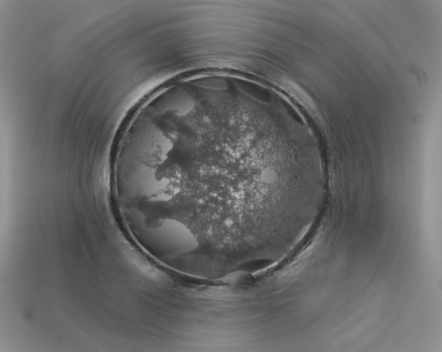 X0000113601028200909181347