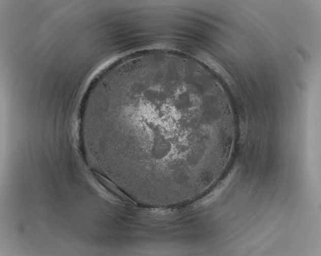 X0000113601029200909181347